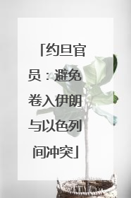 约旦官员：避免卷入伊朗与以色列间冲突