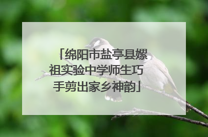 绵阳市盐亭县嫘祖实验中学师生巧手剪出家乡神韵