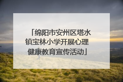 绵阳市安州区塔水镇宝林小学开展心理健康教育宣传活动