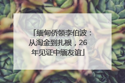 缅甸侨领李伯波：从淘金到扎根，26年见证中缅友谊