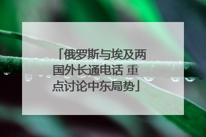 俄罗斯与埃及两国外长通电话 重点讨论中东局势