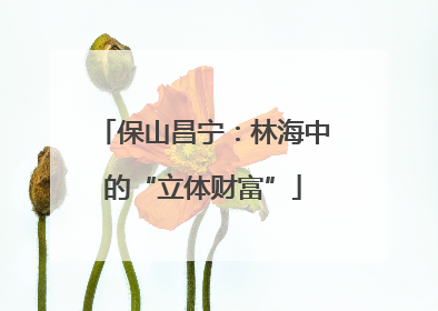 保山昌宁：林海中的“立体财富”