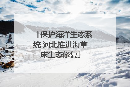 保护海洋生态系统 河北推进海草床生态修复