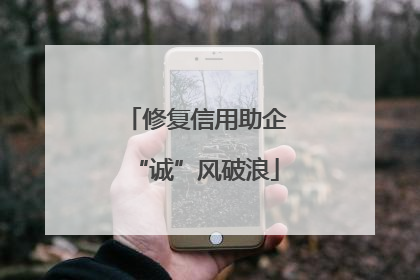 修复信用助企“诚”风破浪