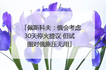 佩斯科夫：俄会考虑30天停火提议 但试图对俄施压无用
