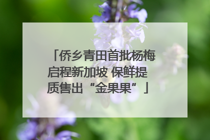 侨乡青田首批杨梅启程新加坡 保鲜提质售出“金果果”
