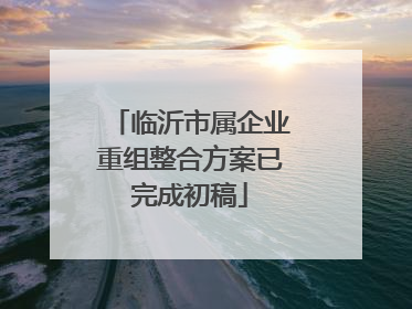 临沂市属企业重组整合方案已完成初稿