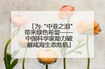 为“中亚之泪”带来绿色希望——中国科学家助力破解咸海生态危机