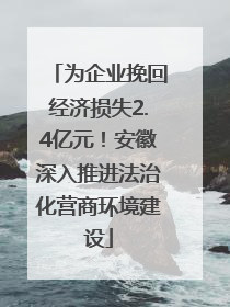 为企业挽回经济损失2.4亿元！安徽深入推进法治化营商环境建设