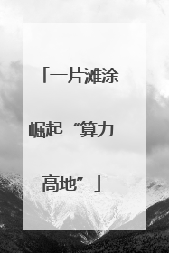 一片滩涂崛起“算力高地”