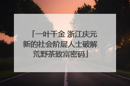 一叶千金 浙江庆元新的社会阶层人士破解荒野茶致富密码