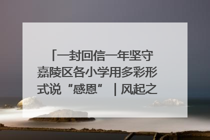 一封回信一年坚守 嘉陵区各小学用多彩形式说“感恩”｜风起之江 扶摇直上