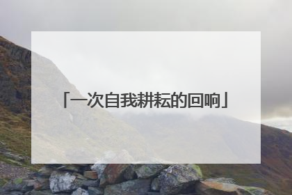 一次自我耕耘的回响