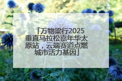 万物梁行2025垂直马拉松嘉年华太原站，云端赛道点燃城市活力基因