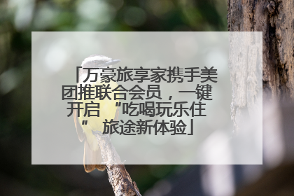 万豪旅享家携手美团推联合会员，一键开启 “吃喝玩乐住” 旅途新体验