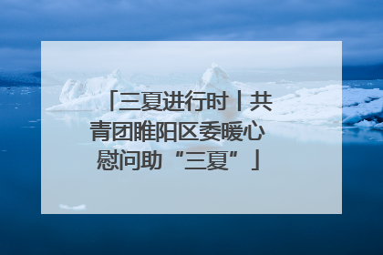 三夏进行时丨共青团睢阳区委暖心慰问助“三夏”