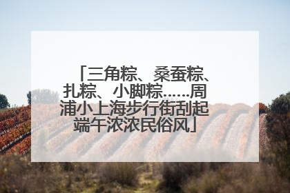 三角粽、桑蚕粽、扎粽、小脚粽……周浦小上海步行街刮起端午浓浓民俗风