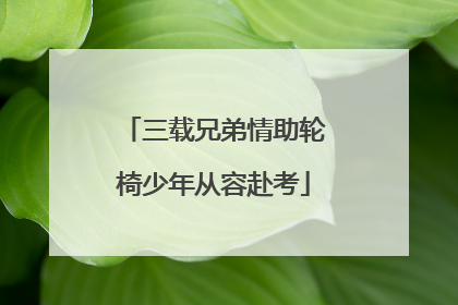 三载兄弟情助轮椅少年从容赴考