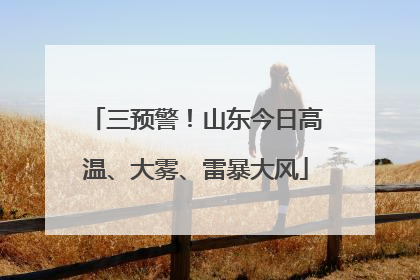 三预警！山东今日高温、大雾、雷暴大风