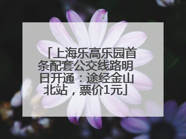 上海乐高乐园首条配套公交线路明日开通：途经金山北站，票价1元