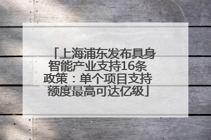 上海浦东发布具身智能产业支持16条政策：单个项目支持额度最高可达亿级