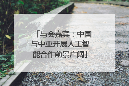 与会嘉宾：中国与中亚开展人工智能合作前景广阔