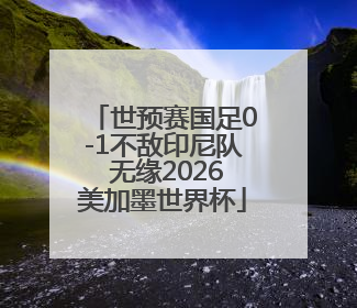 世预赛国足0-1不敌印尼队 无缘2026美加墨世界杯