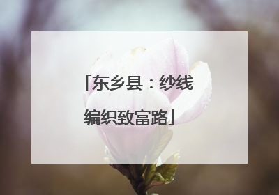东乡县：纱线编织致富路