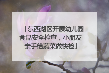 东西湖区开展幼儿园食品安全检查，小朋友亲手给蔬菜做快检