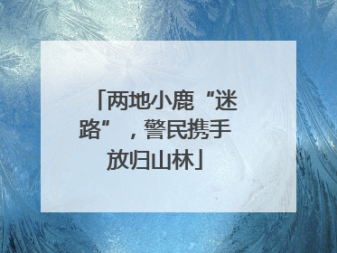 两地小鹿“迷路”，警民携手放归山林