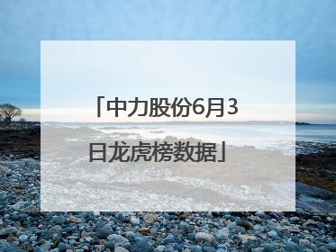 中力股份6月3日龙虎榜数据