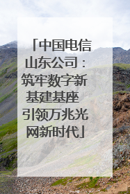 中国电信山东公司：筑牢数字新基建基座 引领万兆光网新时代