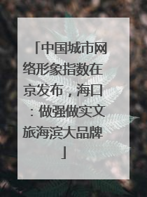 中国城市网络形象指数在京发布，海口：做强做实文旅海滨大品牌