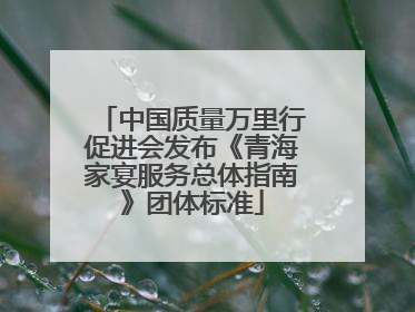 中国质量万里行促进会发布《青海家宴服务总体指南》团体标准