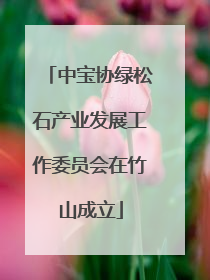 中宝协绿松石产业发展工作委员会在竹山成立