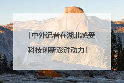 中外记者在湖北感受科技创新澎湃动力