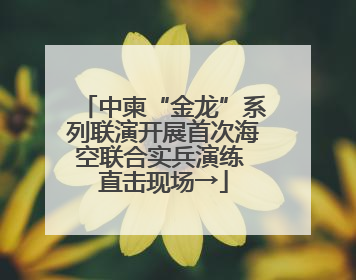 中柬“金龙”系列联演开展首次海空联合实兵演练 直击现场→