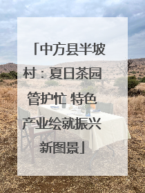 中方县半坡村：夏日茶园管护忙 特色产业绘就振兴新图景