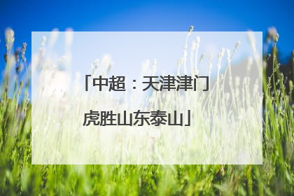 中超：天津津门虎胜山东泰山