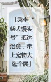 乘坐“柴犬馒头号”抵达治愈，带上宠物去逛个展