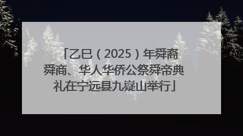 乙巳（2025）年舜裔舜商、华人华侨公祭舜帝典礼在宁远县九嶷山举行