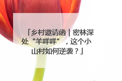 乡村邀请函｜密林深处“羊咩咩”，这个小山村如何逆袭？