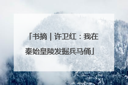 书摘｜许卫红：我在秦始皇陵发掘兵马俑
