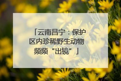 云南昌宁：保护区内珍稀野生动物频频“出镜”