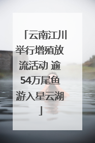 云南江川举行增殖放流活动 逾54万尾鱼游入星云湖