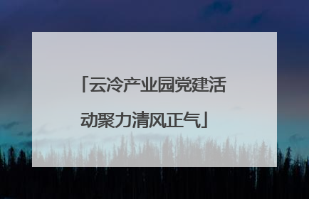 云冷产业园党建活动聚力清风正气