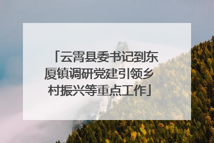 云霄县委书记到东厦镇调研党建引领乡村振兴等重点工作
