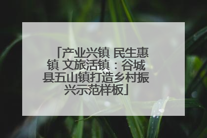 产业兴镇 民生惠镇 文旅活镇：谷城县五山镇打造乡村振兴示范样板