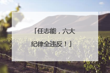任志能，六大纪律全违反！
