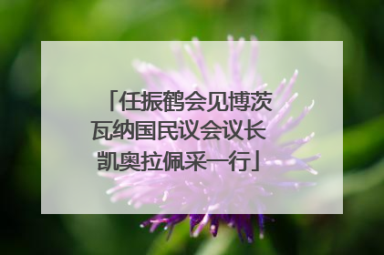 任振鹤会见博茨瓦纳国民议会议长凯奥拉佩采一行